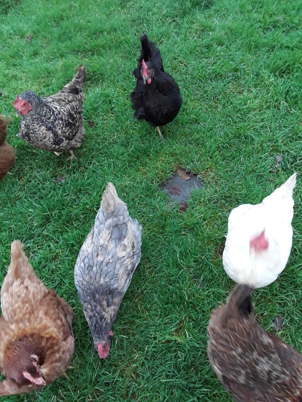 Easdale B&B Ballyduff Hill Zewnętrze zdjęcie